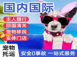 上饶三清山机场货运国际宠物托运 【国